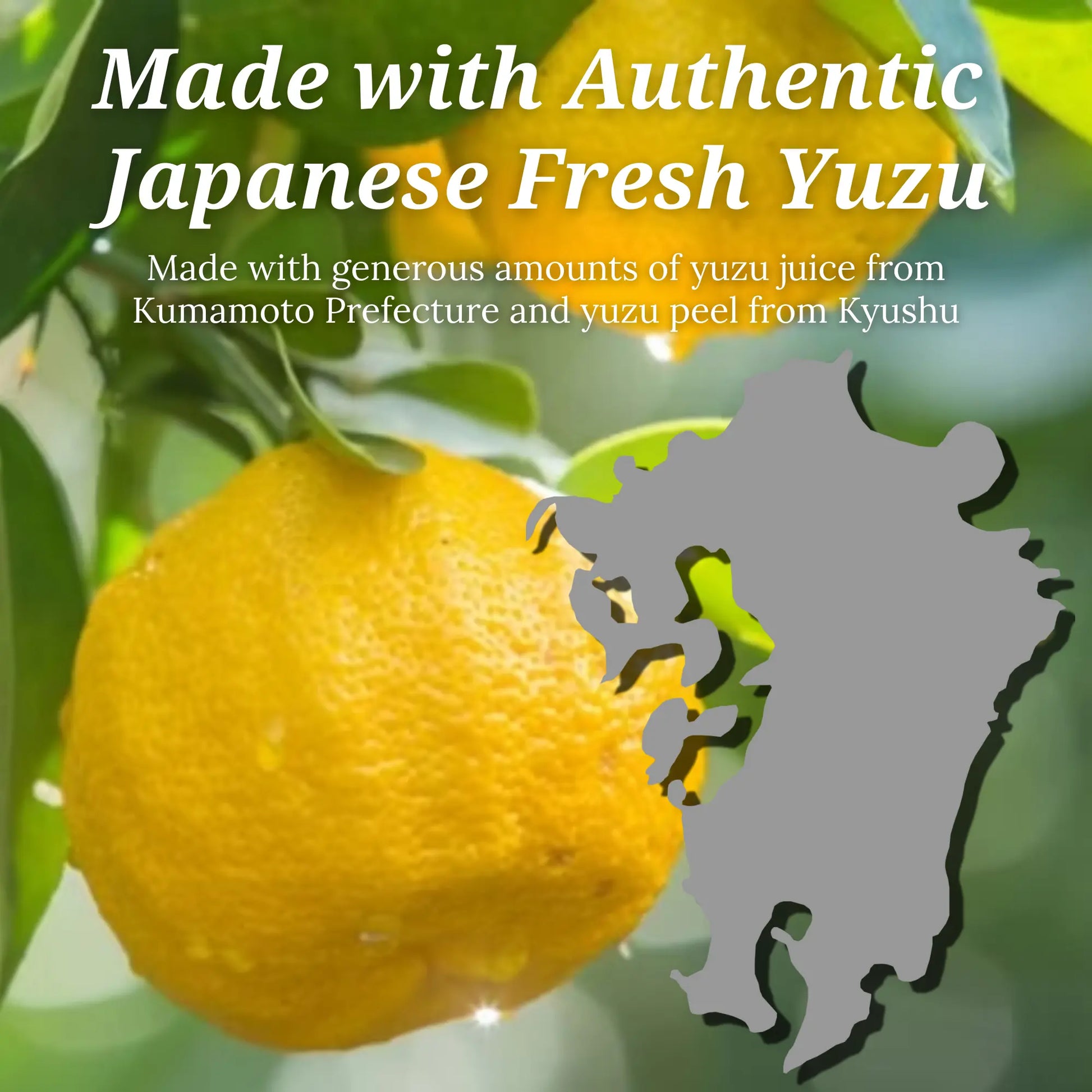 Fundodai Yuzu Ponzu with Clear Soy Sauce 6.76 fl oz (200ml) Fundodai