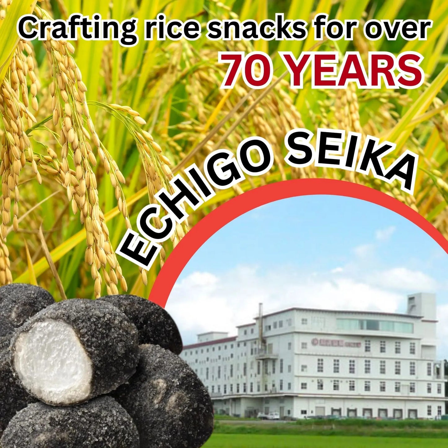 Funwari Meijin Black Sesame Mochi Rice Puffs – Kurogoma Snack, 3 Pack Echigo Seika