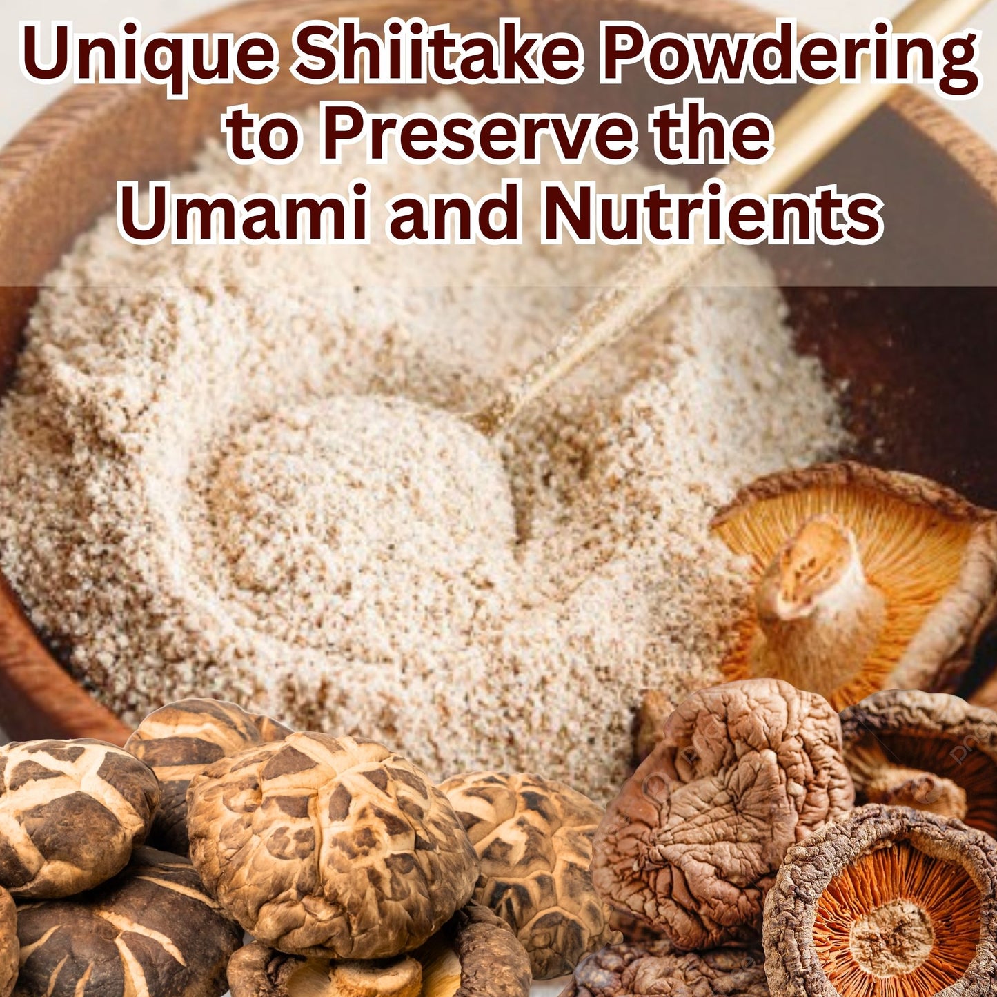 Towa Kanbutu Japanese Shiitake Umami Powder 1.4oz (40g)